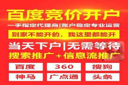 竞价排名在电商行业的实战案例
